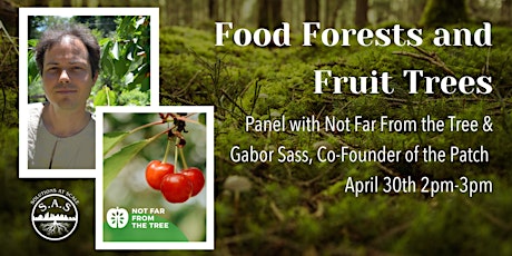 Food Forests and Fruit Trees Panel