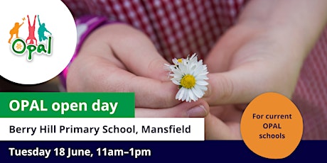CURRENT schools: OPAL school visit - Berry Hill Primary School, Mansfield