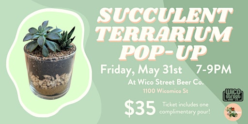 Image principale de Succulent Terrarium Pop-up at Wico St Beer Co.