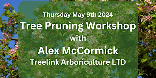 Primaire afbeelding van Tree Pruning Workshop with Alex McCormick