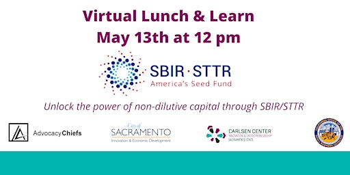 Primaire afbeelding van Virtual Lunch & Learn: SBIR/STTR - Life Sciences