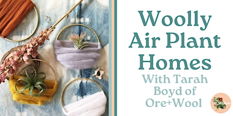 Woolly Air Plant Homes with Tarah Boyd