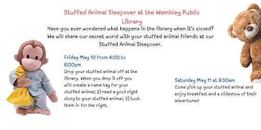 Imagem principal do evento Stuffed Animal Sleepover