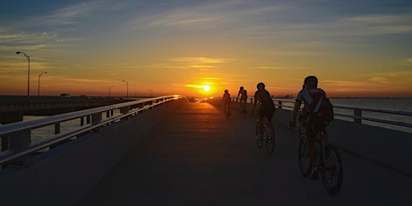 Trek Tampa South's Bike the Bay!
