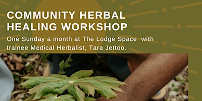 Imagen principal de Community Herbal Healing: Reconnect with nature through  local exploration