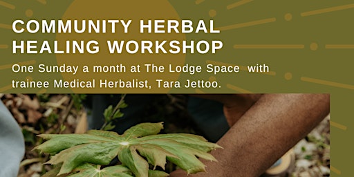 Immagine principale di Community Herbal Healing: Reconnect with nature through  local exploration 