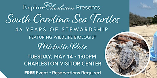 Imagem principal do evento South Carolina Sea Turtles - 46 years of stewardship