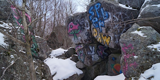 Primaire afbeelding van Rib Mountain Graffiti Cleanup & Climbing