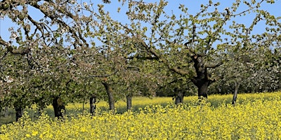 Immagine principale di Un fottuto pic nic nelle ciliegie 