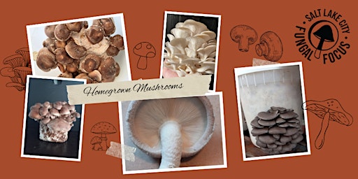Imagem principal do evento Introduction to Mycology and Home Mushroom Cultivation