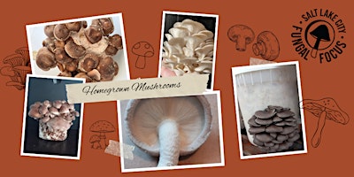 Image principale de Introduction to Mycology and Mushroom Cultivation