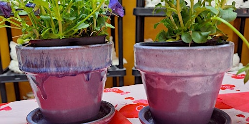 Paint a Pot and Pick a Pansy for it. Ceramic Painting Class  primärbild