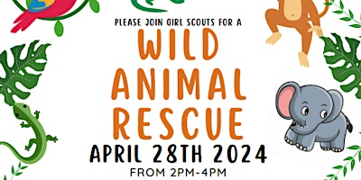 Imagem principal do evento Wild Animal Rescue