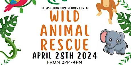 Wild Animal Rescue