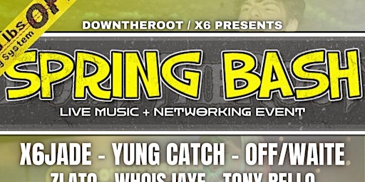 Hauptbild für Spring Bash (Live Music + Networking Event)