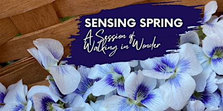 Sensing Spring - A session of Walking in Wonder