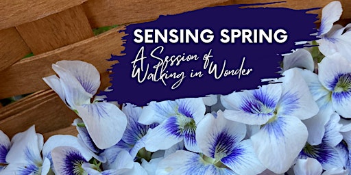 Sensing Spring - A session of Walking in Wonder