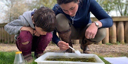 Wild families: Pond dipping (am) (ELC 2511) primary image