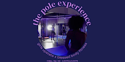 The Pole Experience primary image