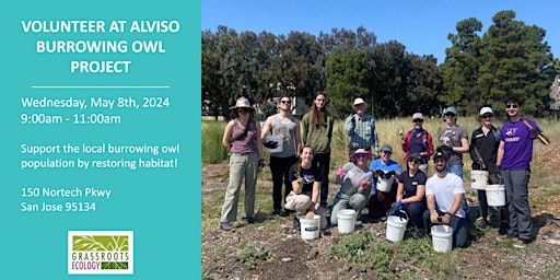 Volunteer Outdoors in Alviso at the Burrowing Owl Project (18+) primary image