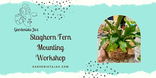 Hauptbild für Staghorn Fern Mounting Workshop