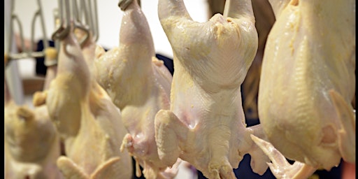 Imagem principal do evento Poultry Processing Demonstration
