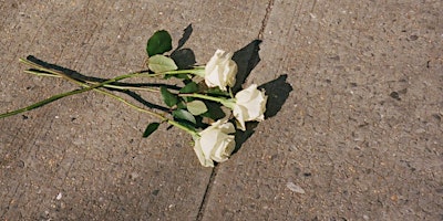 Hauptbild für White Roses