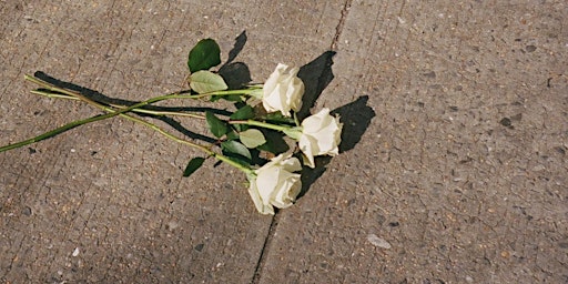 Image principale de White Roses