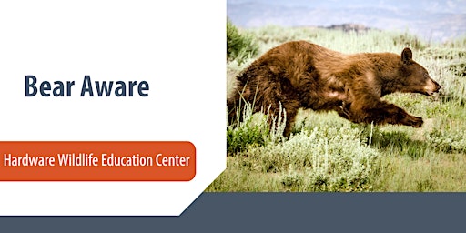 Imagem principal do evento Bear Aware — Hardware Wildlife Education Center