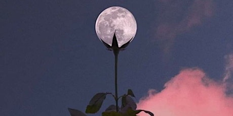 Flower Full Moon Flow