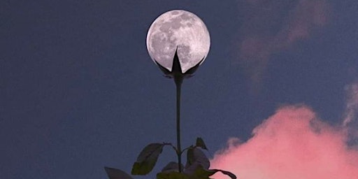 Imagem principal do evento Flower Full Moon Flow
