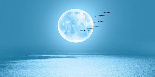 Imagen principal de Heavenly Music: Stars, Moon, Birds and Aeroplanes