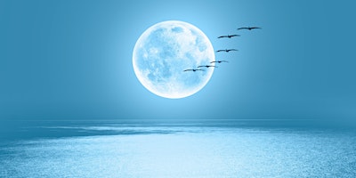 Imagem principal do evento Heavenly Music: Stars, Moon, Birds and Aeroplanes