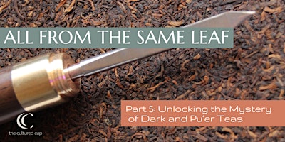 All from the Same Leaf Part 5: Unlocking the Mystery of Dark and Pu’er Teas primary image