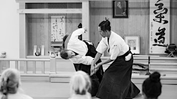 Primaire afbeelding van Aikido Introductory Series