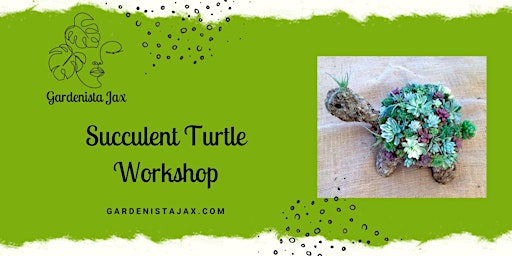 Imagem principal do evento Succulent Turtle Workshop
