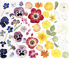 Image principale de Flower Pressing Workshop