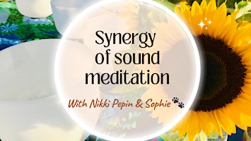 Imagem principal do evento Synergy of Sound Meditation