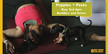 Puppies and Poses at Boulders and Brews