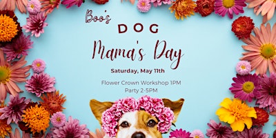Imagem principal do evento Dog Mama's Day Celebration