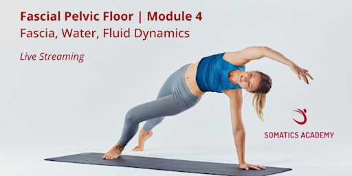 Image principale de Fascial Pelvic Floor | Module 4:  Fascia, Water, Fluid Dynamics