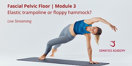 Fascial Pelvic Floor | Module 3:  Elastic trampoline or floppy hammock?