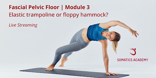 Image principale de Fascial Pelvic Floor | Module 3:  Elastic trampoline or floppy hammock?