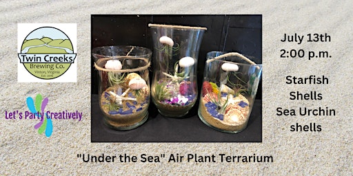 Primaire afbeelding van Air Plant "Under the Sea" Terrarium