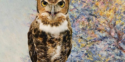 Imagem principal de LIVE OWL PAINT N’ SIP BENEFITING WHISPERING WILLOW WILD CARE.