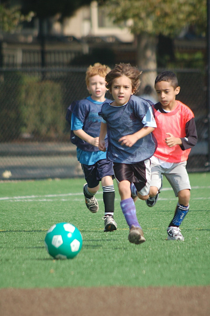 
		Sky's The Limit: An Evening to Support Equity in Urban Youth Soccer image
