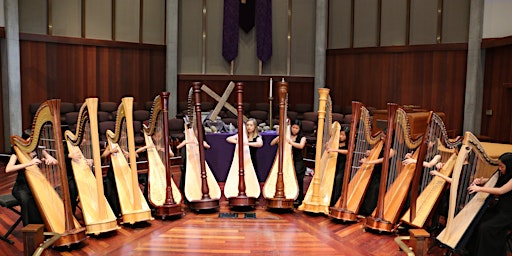 Primaire afbeelding van SJYS Harp Ensemble Concert