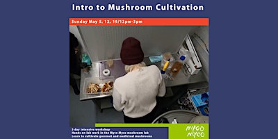 Primaire afbeelding van Mushroom Cultivation: Intensive 3-Day Workshop