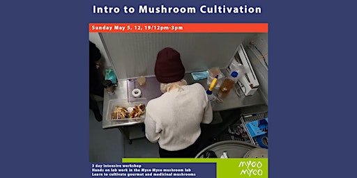Hauptbild für Mushroom Cultivation: Intensive 3-Day Workshop