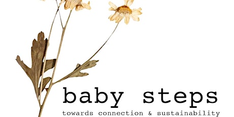 Baby Steps - towards connection and sustainability
